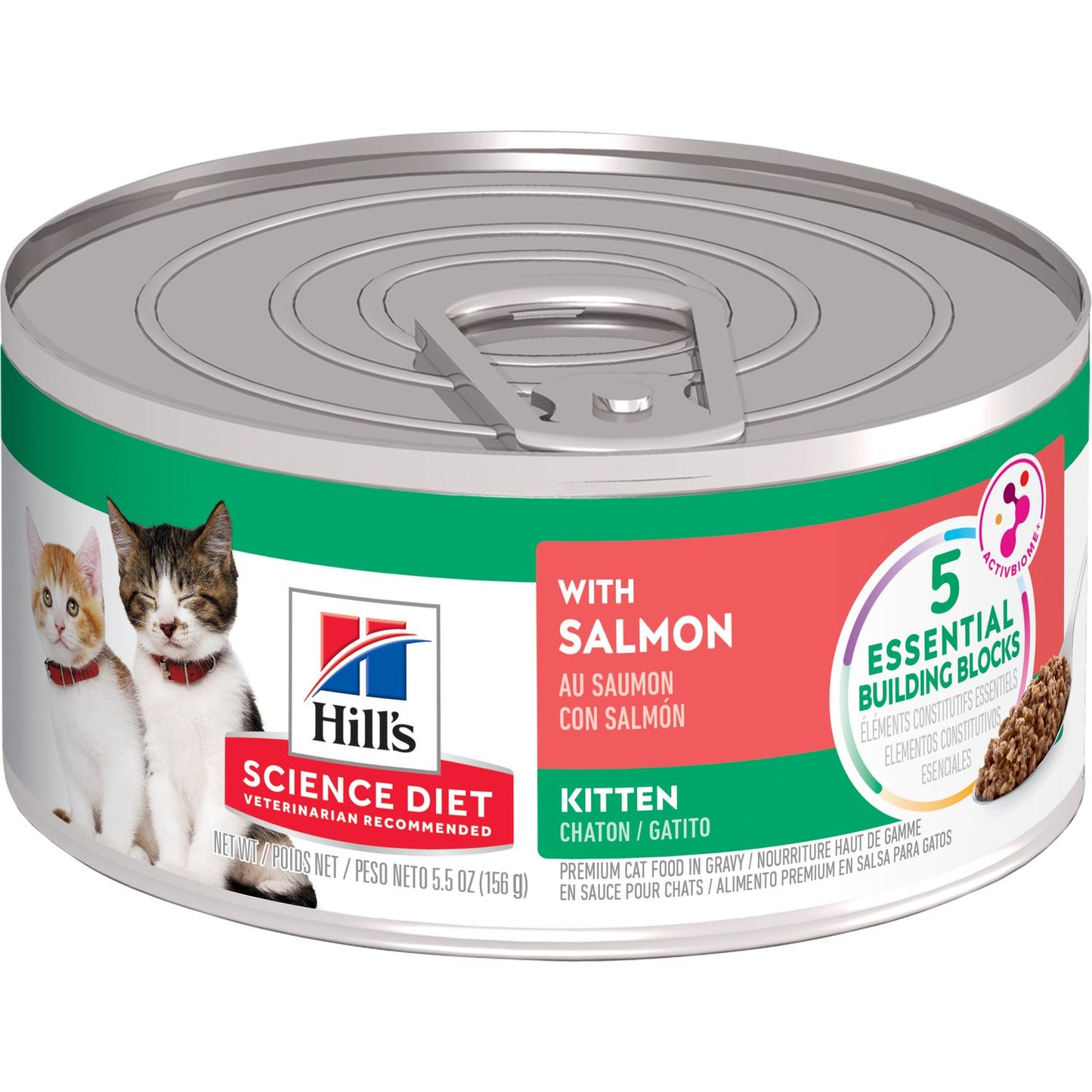 Kitten Cat Food